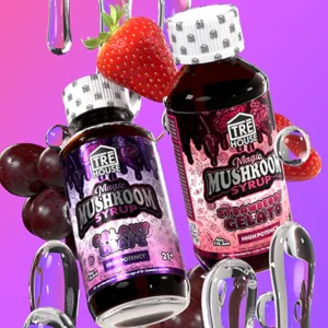 Magic Mushroom Syrup