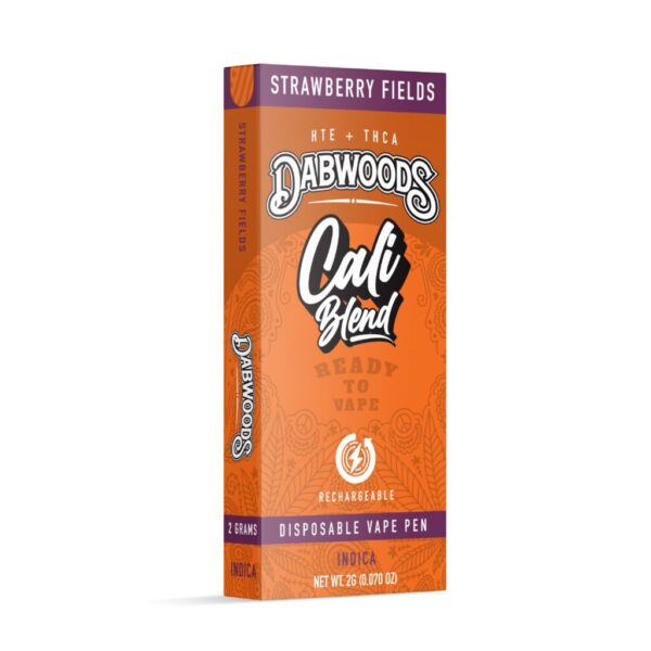 Dabwoods Disposable THC Vape Pen showing sleek design and strain labeling